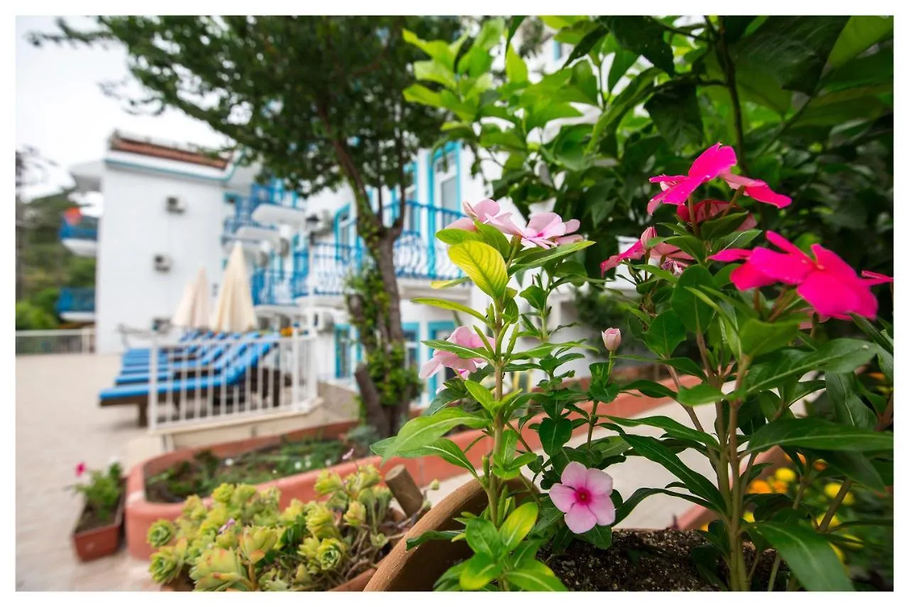 Mavi Yaprak Hotel Oludeniz